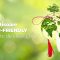 Mărțișoare eco-friendly, create de elevii LTAI Brad!